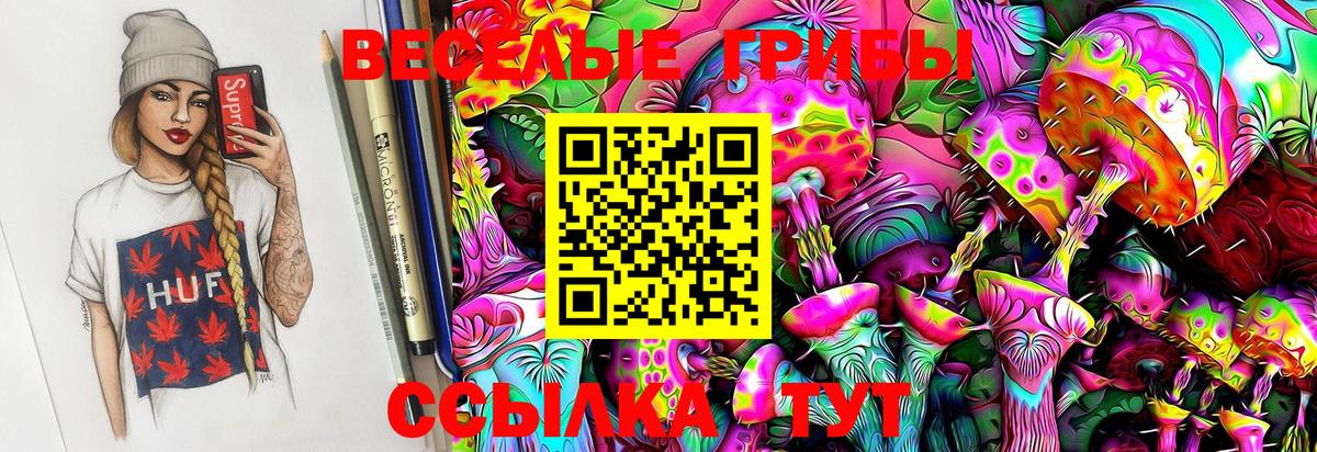 Псилоцибиновые грибы Psilocybe Верхняя Салда