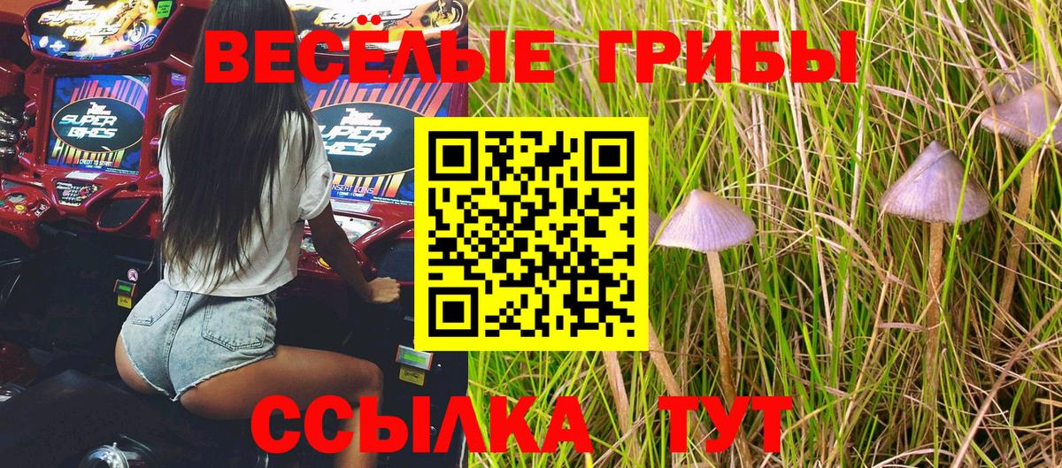 Галлюциногенные грибы ЛСД  Псилоцибиновые грибы Psilocybe  Вход с VPN  Верхняя Салда 